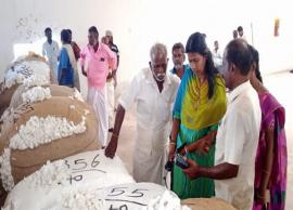 தஞ்சை மாவட்டம் பாபநாசத்தில் பருத்தி ஏலம் நடந்தது
