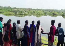 புத்தாண்டை ஒட்டி வேடந்தாங்கலில் குவிந்த சுற்றுலாப்பயணிகள்