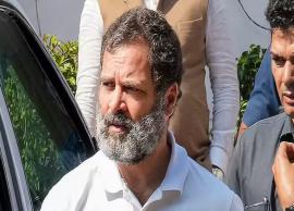 இன்று வயநாடு பயணம்...  எம்.பி., பதவி பறிப்புக்கு பின் முதல்முறை