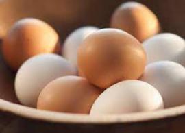 சித்திரை புத்தாண்டில் வறிய நிலையில் உள்ளவர்களுக்கு இலவச முட்டை