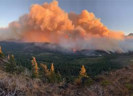 ஓரிகான் மாகாணத்தில் காட்டுத்தீயால் 5 சிறிய நகரங்கள் நாசம்