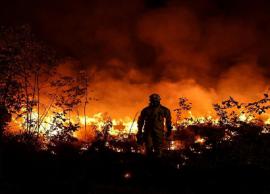 தொடர்ந்து எரிந்து வரும் காட்டுத்தீயால் பாதிப்பை சந்தித்துள்ள பிரான்ஸ்