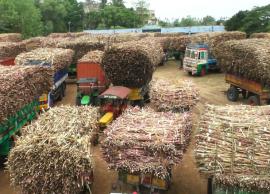 கரும்புக்கான குறைந்தபட்ச கொள்முதல் விலை: மத்திய அமைச்சரவை ஒப்புதல்