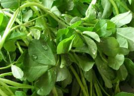 மிகப் பழமையான மருத்துவ தாவரங்களில் முக்கிய பங்கு வகிக்கிறது வெந்தயக் கீரை