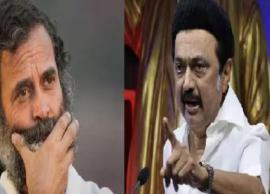 ராகுல்காந்தி பதவி தகுதி நீக்கத்திற்கு முதல்வர் ஸ்டாலின் கண்டனம்