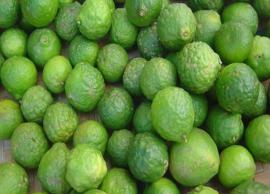 நார்த்தங்காயில் அடங்கியுள்ள மருத்துவக்குணங்கள் நோய்களை தீர்க்கிறது