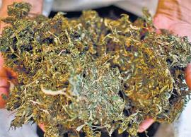 கஞ்சா கடத்திய 2 பேர்... ரோந்து போலீசாரிடம் சிக்கினர்