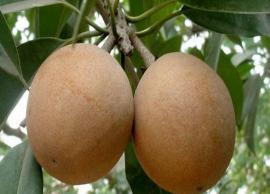 பேஸ்புக் நிறுவனம் மீது அமெரிக்க அரசு வழக்கு தொடர்ந்தது