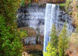 ஹாமில்டனில் அடுத்தவாரம் பெரும்பாலான நீர் வீழ்ச்சிகளை பார்வையிடலாம்