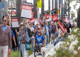 ஹாலிவுட்டில் அடுத்தடுத்து வேலை நிறுத்தம்... நிறுத்தப்பட்ட படப்பிடிப்புகள்