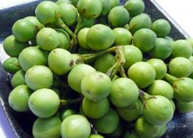 நீண்ட ஆயுளையும், ஆரோக்கியத்தையும் அளிக்கும் சுண்டைக்காய்