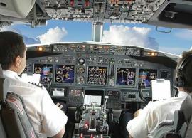 வெட்டுக்கிளிகளால் பாதிப்பு ஏற்படலாம்; விமானிகளுக்கு எச்சரிக்கை