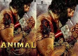 ரன்வீர் கபூர் நடித்துள்ள அனிமல் படத்தின் டிரைலர் எப்போது? படக்குழு அறிவிப்பு