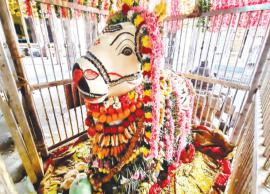 மாட்டுப்பொங்கலை ஒட்டி நந்திக்கு 100 கிலோவில் காய்கறிகள், பழங்களை கொண்டு அலங்காரம்