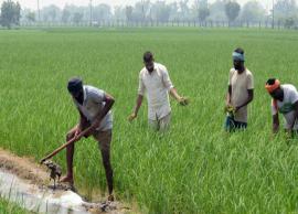 மத்திய அரசின் வேளாண் மசோதாக்களை எதிர்த்து வழக்கு தொடுக்க முடிவு