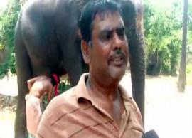 தான் வளர்க்கும் யானைகளுக்கு ரூ.5 கோடி மதிப்பு சொத்துக்கள் எழுதி வைத்தவர்