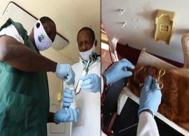 உணவின்றி தவித்த தெருநாய்களுக்கு உதவிய கால்நடை மருத்துவர்கள்