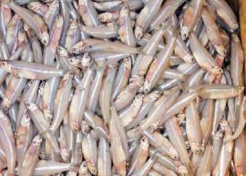 கிராமத்து ருசியில் நெத்திலி மீன் குழம்பு செய்முறை