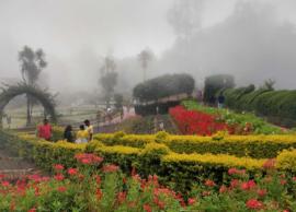 கொடைக்கானலில் சீசன் ஸ்டார்ட்... குவியும் சுற்றுலாப்பயணிகள்