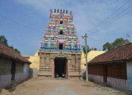 திருலோக்கி வந்து குருபகவானை தரிசித்து திருமண வரம் பெறலாம்