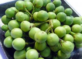 உடலில் உள்ள நோய் எதிர்ப்பு சக்தியை அதிகப்படுத்தும் தன்மை கொண்ட சுண்டைக்காய்