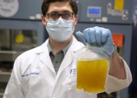 தமிழகத்தில் சென்னை ராஜிவ்காந்தி அரசு மருத்துவமனையில் முதல் பிளாஸ்மா வங்கி திறப்பு