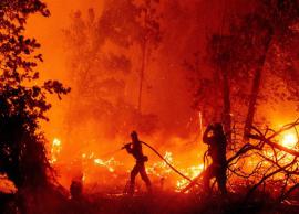 கலிபோர்னியா காட்டுத்தீ மேலும் பல இடங்களுக்கு பரவியது