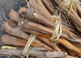 மலச்சிக்கல் பிரச்னைகளை போக்கும் நார்ச்சத்து நிறைந்த பனங்கிழங்கு