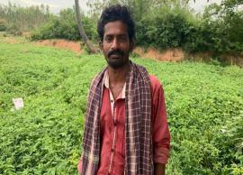 பனைமரத்தில் இருந்து விழுந்த மைனாகுஞ்சுகளை பத்திரமாக கூட்டில் வைத்த மனிதாபிமான இளைஞர்