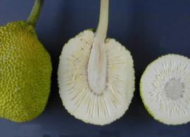 பலாக்காயில் கோலா உருண்டை செய்முறை உங்களுக்காக!!!