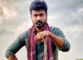 படவாய்ப்பு கிடைத்துள்ளதாம்... சீரியலில் இருந்து விலகுவாரா நடிகர் சித்து