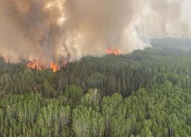 அல்பர்டா பிராந்தியத்தில் கட்டுக்கடங்காமல் எரியும் காட்டுத்தீ