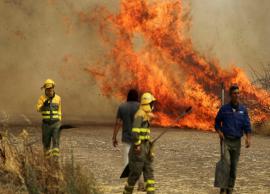 கனடாவின் காட்டுத் தீ ஐரோப்பா வரை நீண்டுள்ளது