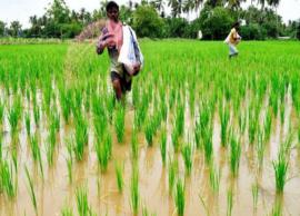 பிரீமியம் செலுத்த கால அவகாசத்தை நீட்டிக்க வேண்டும்... எதிர்க்கட்சித் தலைவர் எடப்பாடி பழனிசாமி வலியுறுத்தல்
