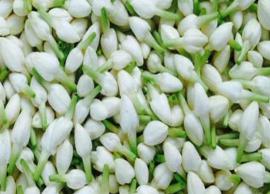 இறை வழிபாடுகளில் மலர்கள் தனியிடம் பிடிக்க இதுவே காரணம்