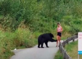 ஓட்டப்பயிற்சியின் போது திடீரென எதிரில் வந்து நின்ற கரடி