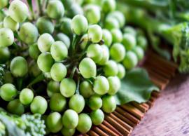 உடல் சோர்வை நீக்கும் தன்மை கொண்டது சுண்டைக்காய்