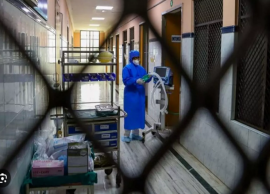 சென்னையில் நிபா வைரஸ் தடுப்பு நடவடிக்கை…  அரசு மருத்துவமனைகளில் சிறப்பு வார்டுகள் அமைப்பு