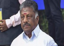 அதிமுக தலைமைக்கழக கலவரம்... ஓபிஎஸ்-க்கு சம்மன் அனுப்ப முடிவு