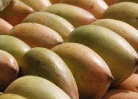 புளிப்பு மாங்காய் தொக்கு செய்து பாருங்கள்... ருசி பிரமாதமாக இருக்கும்