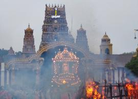 நல்லூர் கோயிலில் திருக்கார்த்திகை உற்சவம்... பக்தி பூர்வமாக  பங்கேற்ற பக்தர்கள்