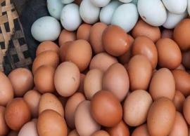 முட்டை விலை குறித்து முடிவு எடுக்க உற்பத்தியாளர்கள் தீர்மானம்