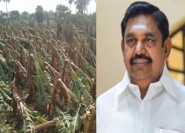 சூறைக்காற்றால் சேதமடைந்த பயிர்களுக்கு நிவாரணம் வழங்க வலியுறுத்தல்