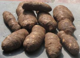 கருணைக்கிழங்கில் அடங்கியுள்ள மருத்துவக்குணங்கள் பற்றி தெரிந்து கொள்வோம்