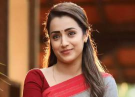 திருமண வதந்திகளுக்கு பதிலடி கொடுத்து பதிவிட்ட நடிகை திரிஷா