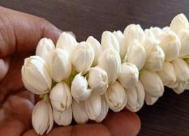 மல்லிகைப்பூ வாசனைக்கு மட்டுமில்ல... ஏராளமான மருத்துவக்குணங்களும் கொண்டது