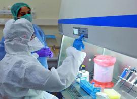 கேரளாவில் மேலும் 7 பேருக்கு கொரோனா பரவல்; பாதித்தவர்கள் எண்ணிக்கை 513 ஆக உயர்வு
