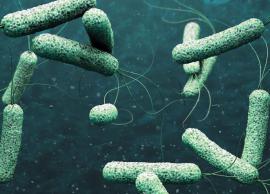 காரைக்காலில்   பரவும்  வயிற்றுப் போக்கு மற்றும் காலராவால் நாளை குடிநீர் விநியோகம் நிறுத்தம்