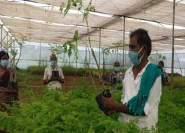 கொரோனா காலத்திலும் ஊதியத்தை குறைக்காமல் கொடுத்து வரும் விவசாயி