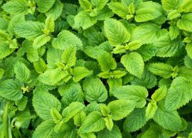 ஒரே மாதத்தில் முகம் பளிச்சென்று மாற இதை செய்தால் போதும்!!